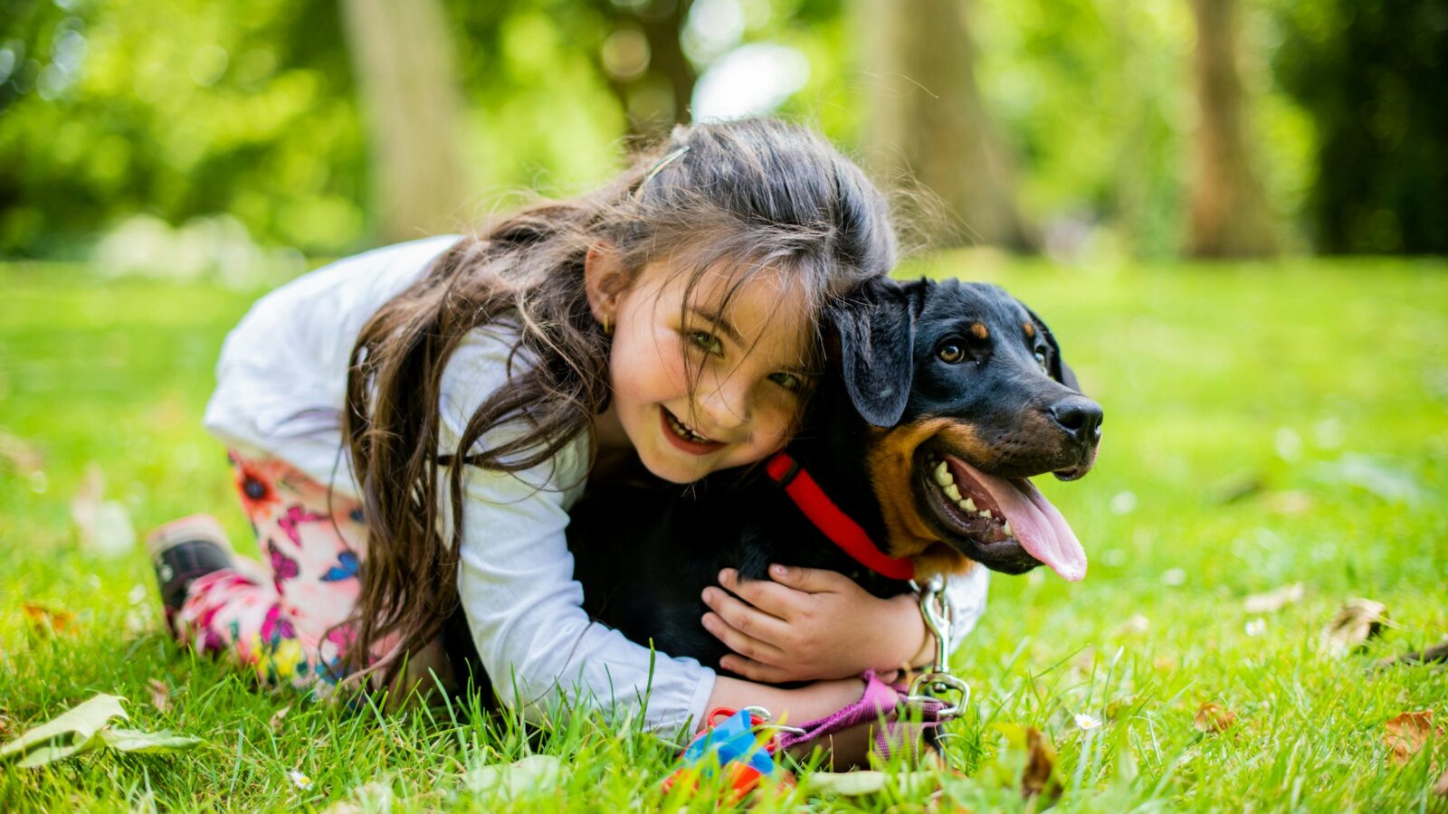 A girl lying in the grass, hugging her dog